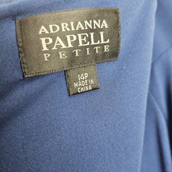 Adrianna Papell Blue Sleeveless Tiered, Pleated Metallic Cocktail dress, size 14 - Picture 9 of 10